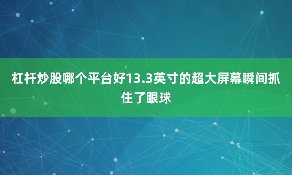 杠杆炒股哪个平台好13.3英寸的超大屏幕瞬间抓住了眼球