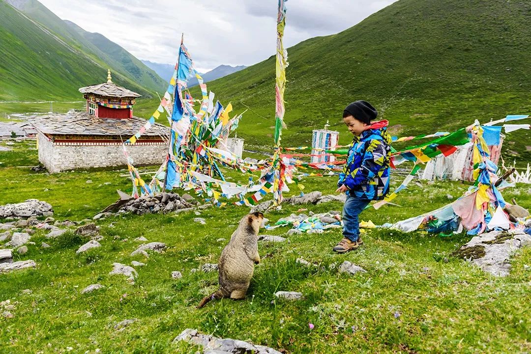 天進(jìn)儀器 天進(jìn)儀器