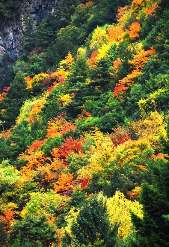 天進(jìn)儀器 天進(jìn)儀器